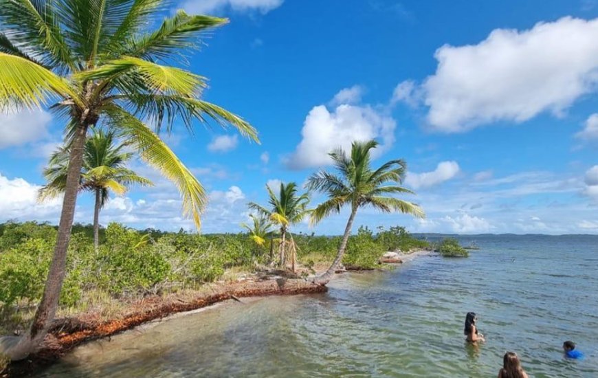 Guia de Maraú - Rota Barra Passeios de Lancha