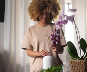 Guia de Maraú - Sua Casa